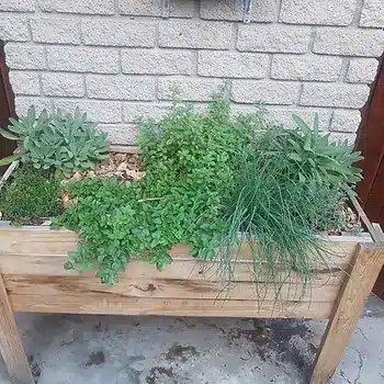creating space to grow herbs