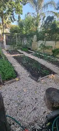 pathways