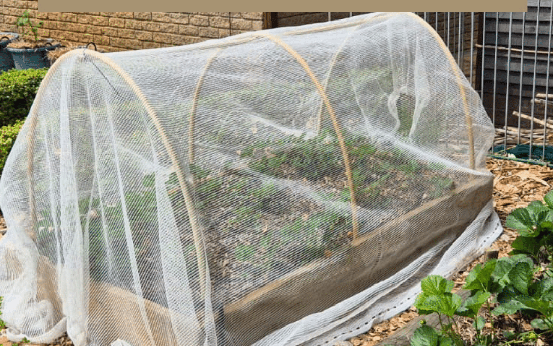 Hoop your garden beds
