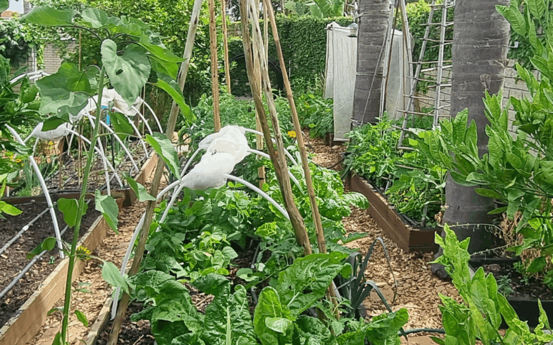Garden Check List – Last Season