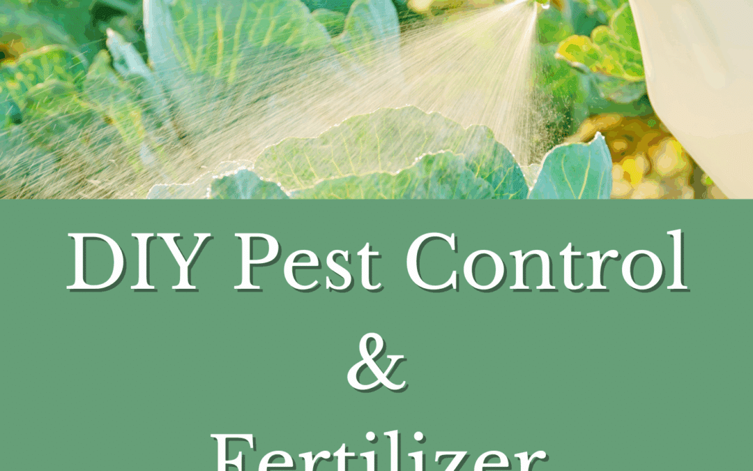 DIY PestControl & Fertilizer