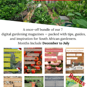 7 Digital Magazines December 2025 - July 2026