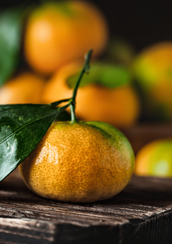Caring For Citrus Vanzylstead 