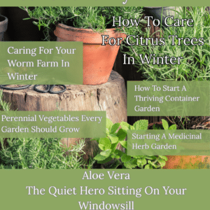 June at VanZylStead - Digital Magazine