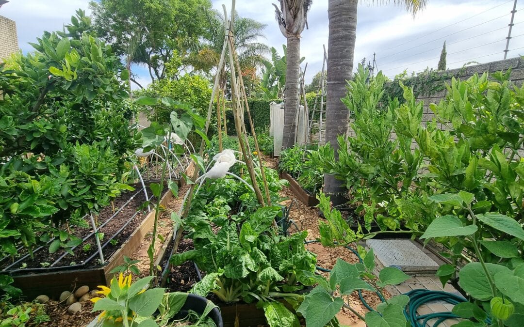 My Top 5 Tips for Planning Your Spring Garden
