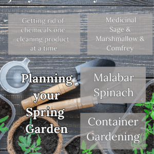 July at VanZylStead - Digital Magazine