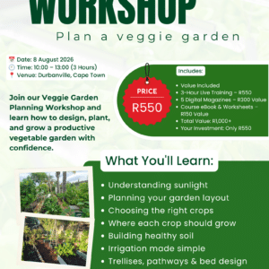 Workshop 8 August 2026