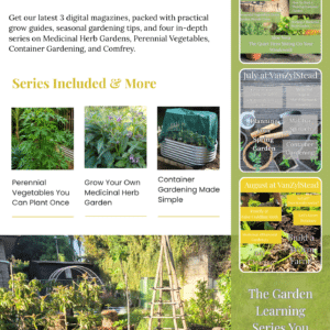 3 Digital Magazine Bundle