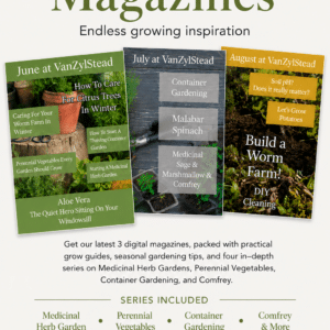 3 Digital Magazine Bundle