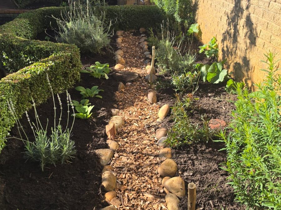 What We’re Doing in the Garden This Week (And Why July Is One of Our Busiest Months)