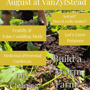 August at VanZylStead