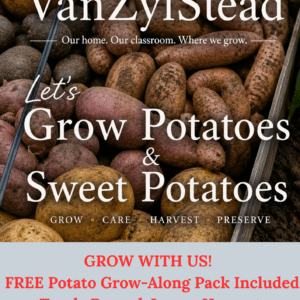 Let's grow potatoes and sweet potatoes eBook