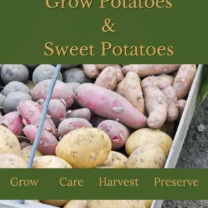 Let's grow potatoes and sweet potatoes