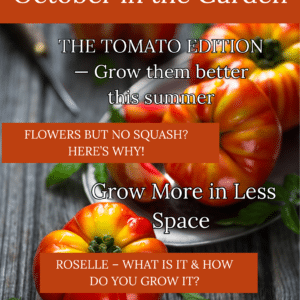 October in the garden