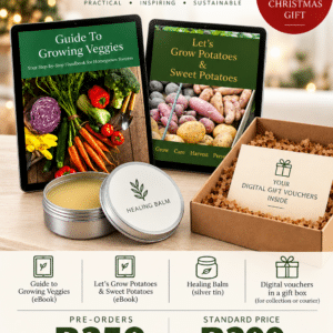 Christmas Gift Box