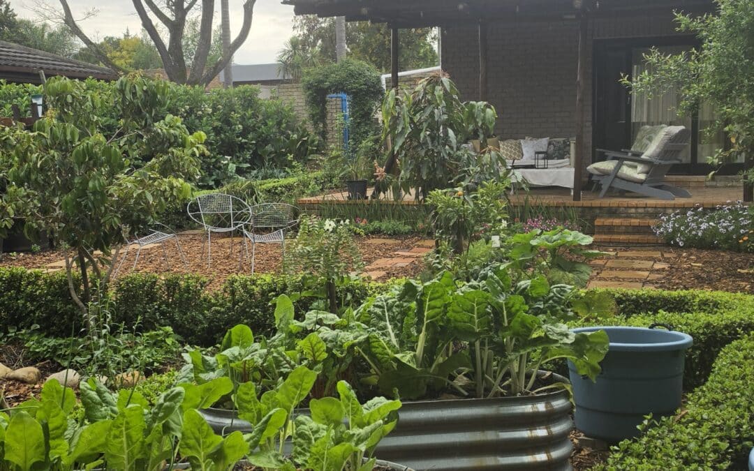 What Is Your Veggie Garden Trying to Tell You? Part 1